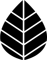 Asset 3
